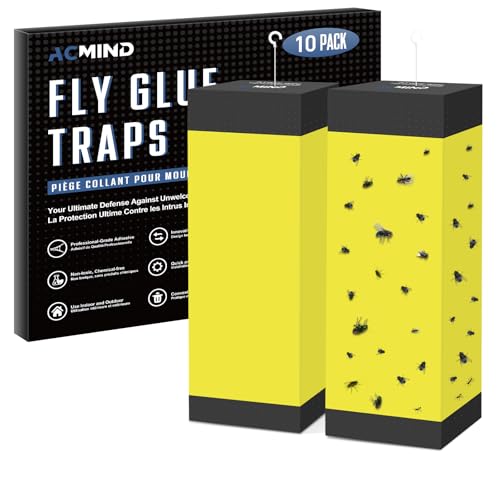 Box-Shaped Indoor Sticky Fly Trap