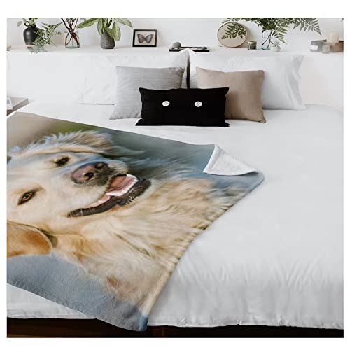 Couverture en peluche pour chien chat lavable et durable - 8