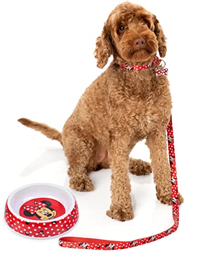 Disney Minnie Mouse Pets Set Regalo Ciotola Guinzaglio con Collare Personaggi