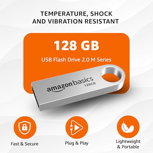 Image of Amazon Basics 128 GB Flash Drive | USB 2.0 M Series | Temperature, Shock and Vibration Resistant | Metallic Silver