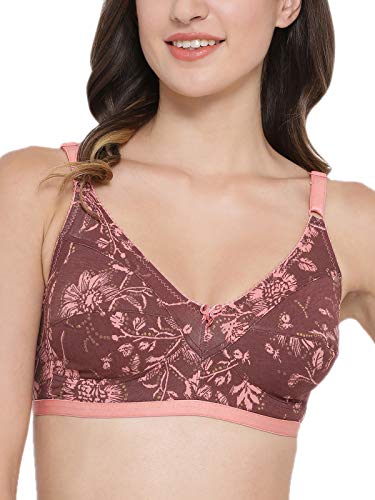 Image of Clovia Women's Pack of 3 Cotton Non-Padded Non-Wired Bra- (Colors and Prints May Vary)