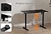 IRILIA Standing Desk Electric Height Adjustable Desk 39.37 x 23.6 Inches Sit Stand up Desk, Computer Home Office Desk Memory Preset with Two-Piece Desktop (Black, 40 * 24 Inch)