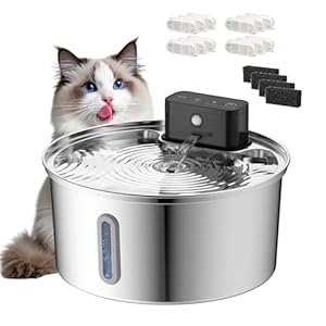 PJDDP Edelstahl Kabelloser Katzenbrunnen mit Filter