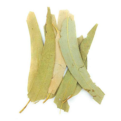 10 Mejores Eucalipto Hojas 2023. Mi Experiencia y Opiniones.