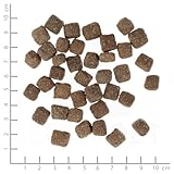 Wolfsblut Dark Forest Senior Hundefutter mit Jagdfleisch und Süßkartoffeln für Senioren ab 7 Jahren (Packung mit 2)