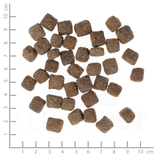 Wolfsblut Dark Forest Senior Hundefutter mit Jagdfleisch und Süßkartoffeln für Senioren ab 7 Jahren (Packung mit 2)