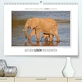 elefanten bild baby Autor(in): Ingo Gerlach Emotionale Momente: Aus dem Leben der Elefanten. / CH-Version (Premium, hochwertiger DIN A2 Wandkalender 2021, Kunstdruck in Hochglanz)