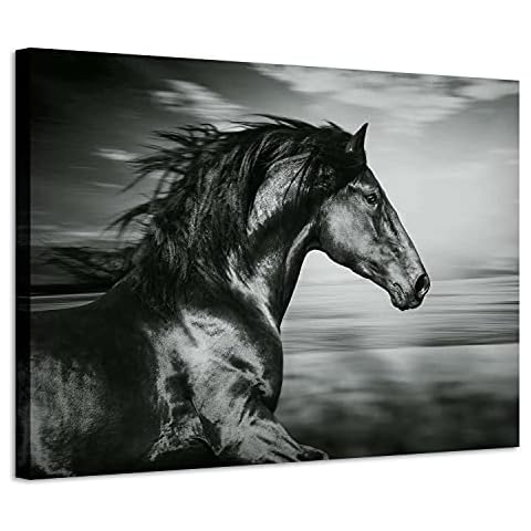 ARTISTIC PATH Horse Picture Animal Art Prints: Wild Black Stallion Graphic Artwork on Canvas for Walls (36" W x 24" H,Multi-Sized) Cover