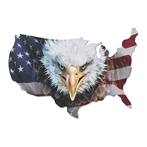 Next Innovations USA Shape Eagle Wall Art - Face of Freedom 3D Metal Wall Art, Eagle Wall Art, Patriotic Outdoor Decor, Home Decor, Powder Coated Steel USA Shape Metal Eagle Wall Decor, 24" x 16" Cover