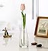 Hand-Made Blown Art Bud Glass Vase Clear Flower Bud Vase Single Stem Vases Decorative Glass Vase Bottles Centerpiece for Wedding Party Home and Office Décor(Transparent)