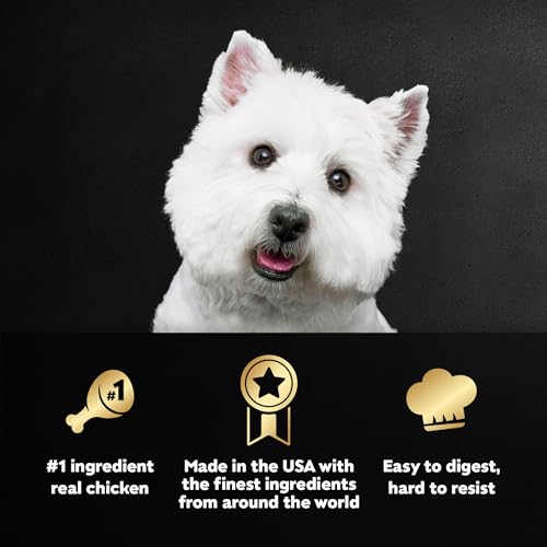 Image of Cesar Filets in Gravy, Adult Wet Dog Food, Rotisserie Chicken Flavor, Wet Food for Dogs, 3.5 oz Trays, 24 Count (Pack of 2)