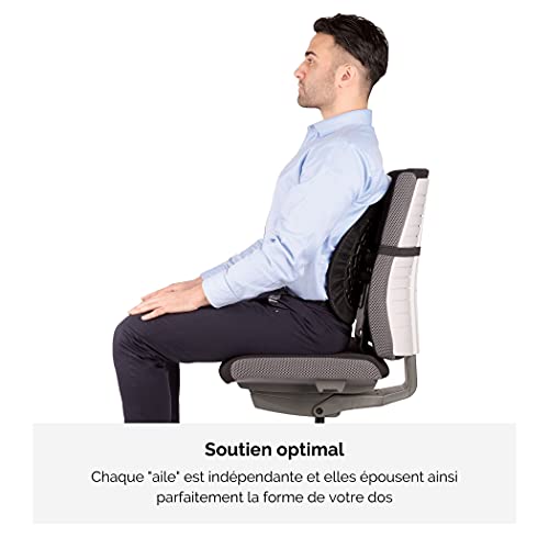 Support dorsal Fellowes 8026401 ergonomique noir pour chaise