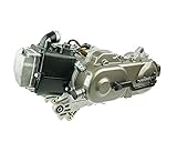 Motor komplett 10 Zoll 50cc GY6 China 4takt 139QMA ohne SLS - AGM-GMX 450 [QM50QT-6A]