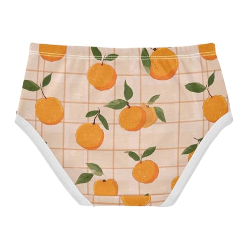 Wusikd Orange Fruit Checkered Girls' Underwear Cotton Girls Briefs Soft Toddler Underwear 2T2