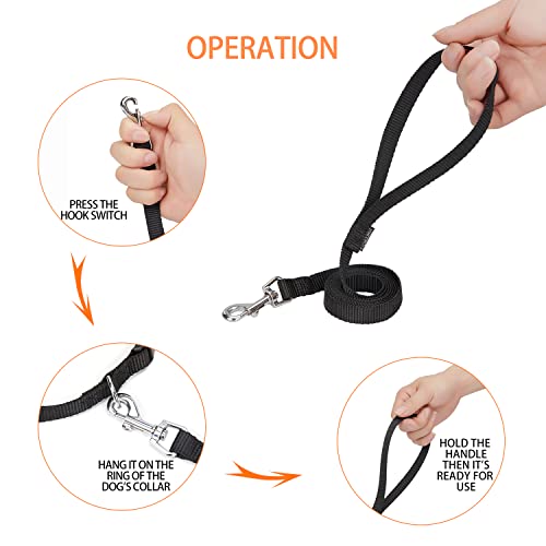 Expert Advice for Dog Leash Use