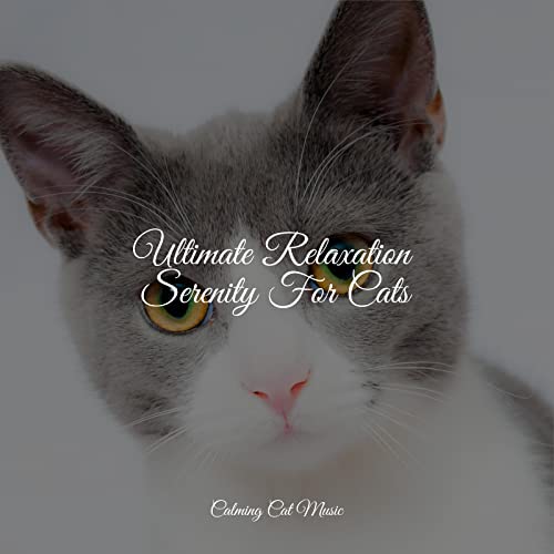 Ultimate Relaxation Serenity For Cats Jazz Music for Cats