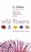 Wild Flowers of Britain & Northern Europe (Collins Pocket Guide)