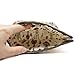Hunger Floral Print Makeup Cosmetic Bag Carry Case, 14 Patterns (P1141709)