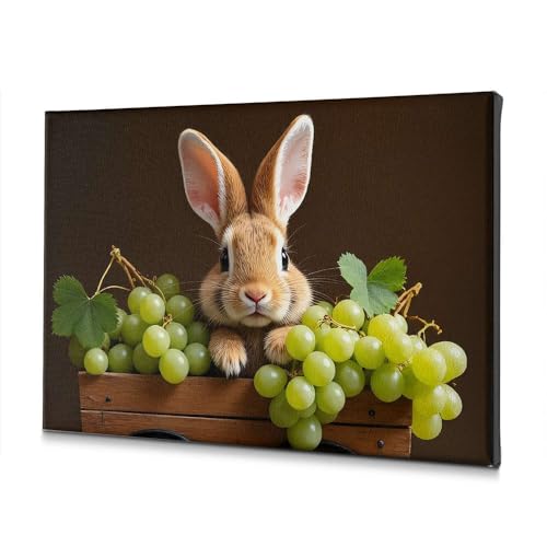 Toile salle de bain lapin boite en bois 40x60 deco murale nature
