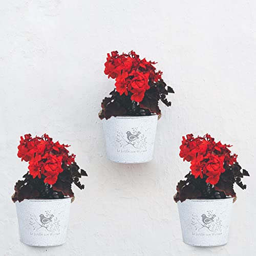 4Pcs Galvanized Metal Wall Planter- Wall Hanging Bucket Vintage Rustic Flowers Vase Planter Holder With Rope For Home Wall Decor Or Plants Flowers Growing (5.5'') #TOP5