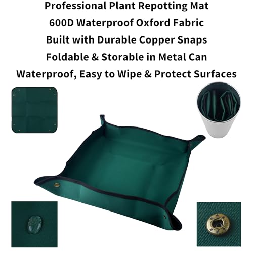 Set de 14 piezas para suculentas con herramientas y tapete impermeable miniatura 5