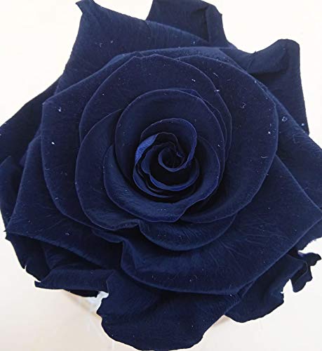 Rosa eterna nera. Mini campana in vetro con rosa