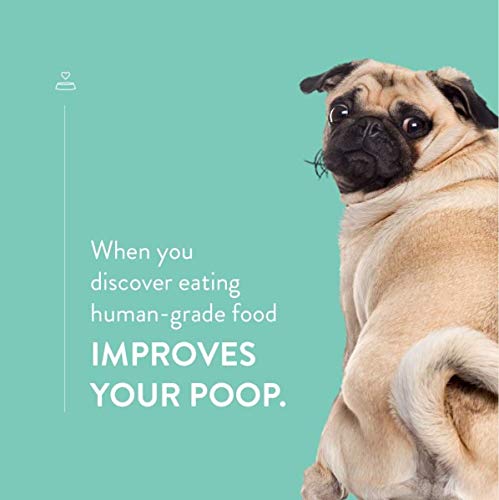 Portland Pet Food Company Brew Biscuit Dog Treats, All Natural, Human-Grade, USA Sourced and Made - Image 10