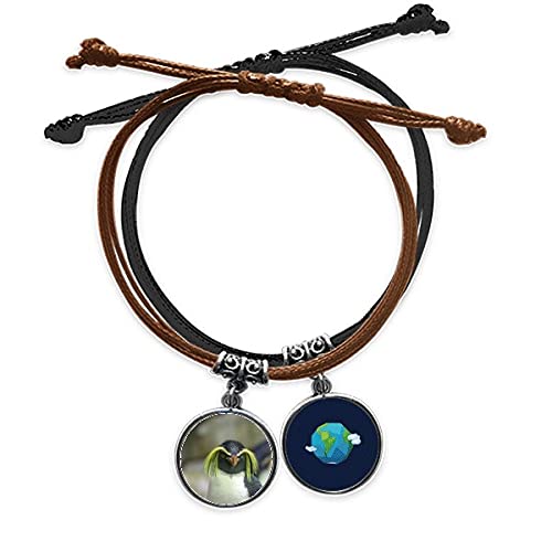 Pulsera de pingüino de la Antártida para amantes de la naturaleza