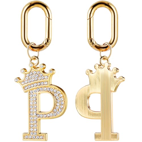 Tallew Personalized Dog Tag with Bling Rhinestones for Most Anti Lost Collar for Christmas Birthday Party Daily Decorations Gift(Letter P)