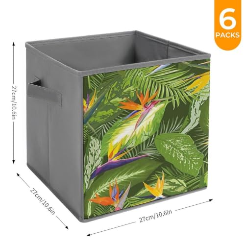 MoaDnoej Fresh Brazilian Forest Untouched Jungle Paradise Tropical Foliage Flowers Oxford Cloth Storage Cubes 6-Pack Foldable Fabric Drawer Bins Organizer for Home Closet Shelves - Image 2