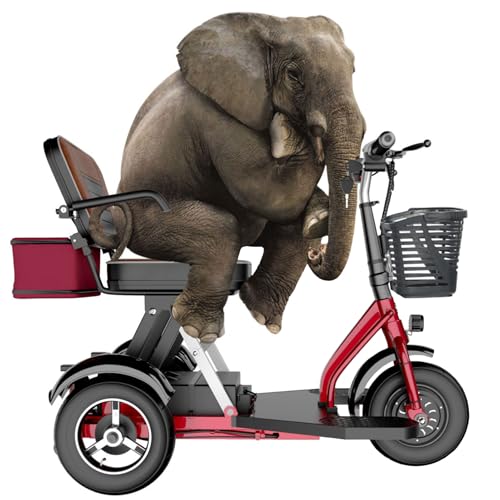 3-Wheel Mobility Scooters for Adults Foldable Lightweight Mobility Scooter Scooter for Seniors with Basket and Comfortable Seat Ideal for Elderly Disabled