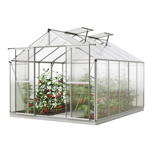 GFP Serre de Jardin Orchidee 5 Structure en Aluminium 256 x 317 cm Panneaux en Polycarbonate - avec Cadre de Fondation et ouvre-fenêtre Automatique