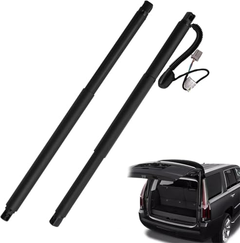 Support hayon électrique 84306929 pour Chevy Suburban 2015-2020