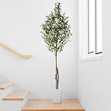 PASCH® Künstlicher Olivenbaum (210 cm) - Stilvoll & Naturgetreu | Künstliche Pflanzen groß | Kunstpflanzen groß: Olive Tree | Olivenbaum künstlich groß für EIN mediterranes Ambiente