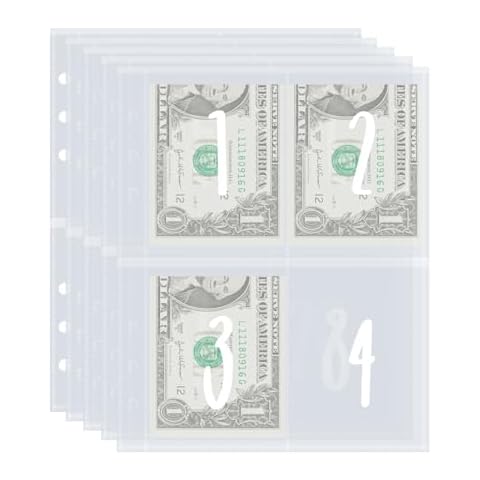 25 Sheets 100 Envelopes Money Saving Challenge A5 Ring Binder Inserts for Replacement, Pre-labeled 1-100 Money Pouches for Cash Stuffing，Works great with A5 binder (Binder Inserts) Cover