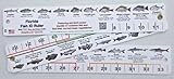 Florida Fish I.D. Ruler – 33.75” Folding Ruler Showing 27 Common Florida Fish in True-to-Life Color Photographs and Their Current FWC Rules with Highlighted Slot Bracket Zones