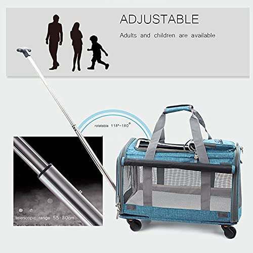 hongyang Pet Bike TrailerSmall & Medium Sized Dogs Bicycle Carrier - Foldable Frame Non-Slip Floor & Internal Leash, Easy to Connect