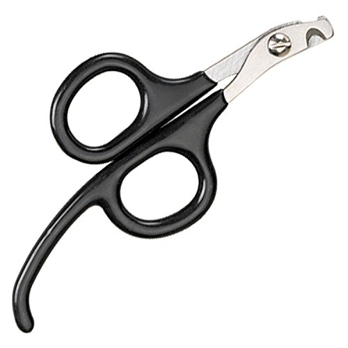 Image of Master Grooming Tools Pet Nail Scissors with Finger Rests-Stainless Steel Scissors for Trimming Nails on Cats and Birds - Small, 3 inch