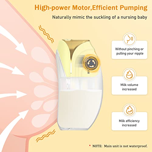 Lactancia, Baby Product Imagen adicional