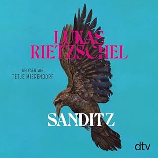 Sanditz cover art