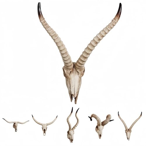 ZekonoǊ|NGCeBuV~[VɗDfޓ̓W3DǑ[bpX^C̃z[ANZT[ (AeB[NF^ 46*37*23cm)