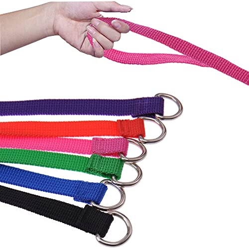 Image of Litewoo 6 Packs Slip Lead Dog Leash, Durable and Comfortable for Cats, Dogs and Other Small Animals