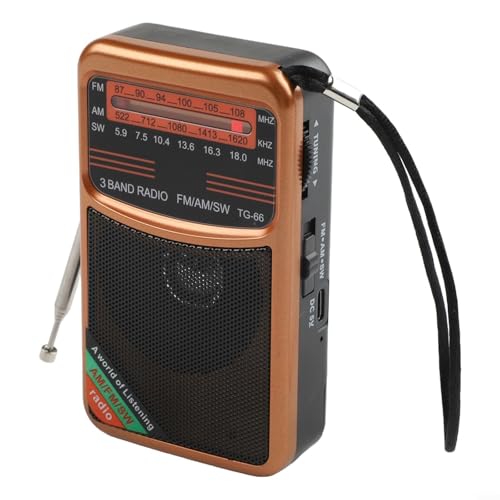 HomeVortex Radio de mano de bolsillo, con bandas AM FM SW, altavoz de 3 W, batería recargable de 1000 mAh, carga tipo C, transistor portátil compacto, para viajes, (dorado)