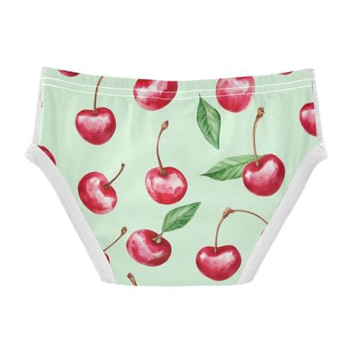 Wusikd Watercolor Cherries Boys' Underwear Cotton Boys Briefs Soft Toddler Underwear 2T2