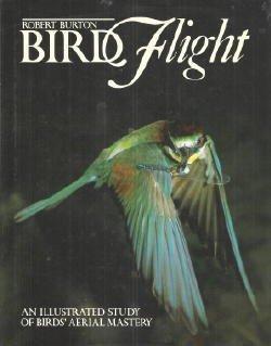 Hardcover Bird Flight: An Illustrated Study of Birds' Aerial Mastery Book