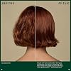 Aveda Color Control Rich Shampoo | Fights Fade, Adds Shine | For Medium to Thick Color-Treated Hair Types | Silicone Free | 98% Naturally Derived*