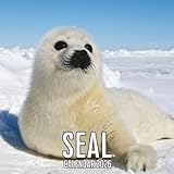 Independently published