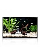 5 Gallon Clear Glass Fish Tank, Easy to Maintain Small Aquariumfor Betta, Goldfish, Snail,Shrimp and Aquatic Planting
