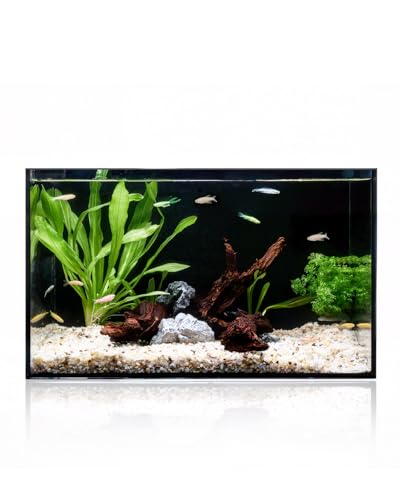 5 Gallon Clear Glass Fish Tank, Easy to Maintain Small Aquariumfor Betta, Goldfish, Snail,Shrimp and Aquatic Planting