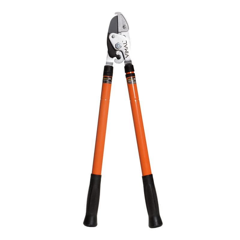See full amazon price history chart for Vimal Compound Action Anvil Lopper with Telescopic Handle, 2 Inch Clean Cut Capacity Branch Cutter with Chops Thick Branches with Ease, Tree TrimmerComfortable Grip-Orange Vimal Compound Action Anvil Lopper with Telescopic Handle, 2 Inch Clean Cut Capacity Branch Cutter with Chops Thick Branches with Ease, Tree TrimmerComfortable Grip-Orange (B09HNZRBGT) Amazon Price History, Amazon Price Tracker